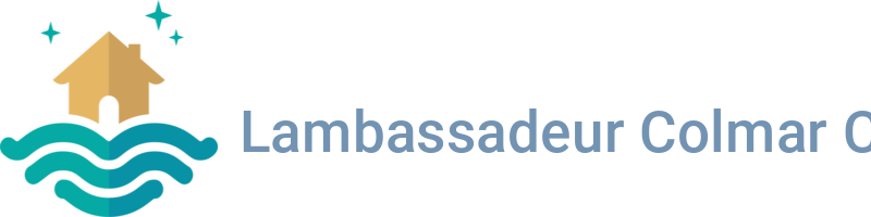 L'ambassadeur